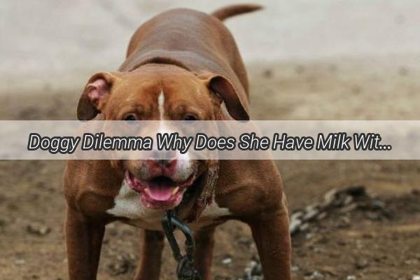 Doggy Dilemma Why Does She Have Milk Without Pups Unveiling the Surprising Reason